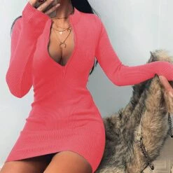 Above Knee Stand Collar Long Sleeve Bodycon Women's Dress -Rountine Shop 3cbb88ad 1848 4d94 99cf 2804286f57ab