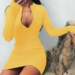 Above Knee Stand Collar Long Sleeve Bodycon Women's Dress -Rountine Shop 701fd667 3236 41e4 b178 f870c5f041fd