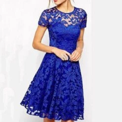 See-Through Round Neck Short Sleeve Plain Women's Day Dress